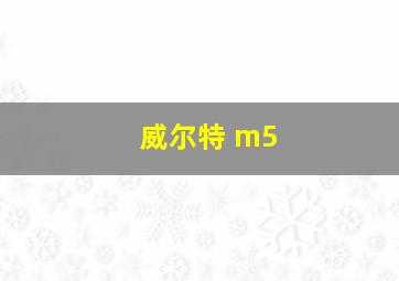 威尔特 m5